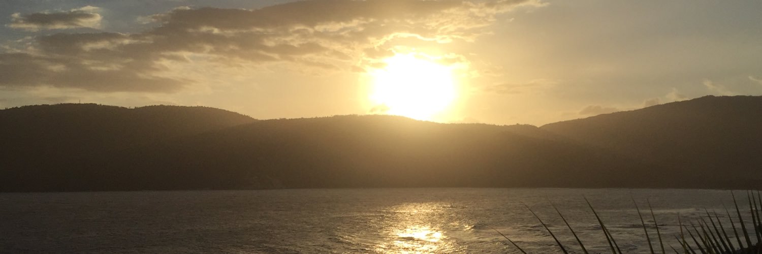 Shearon Roberts banner