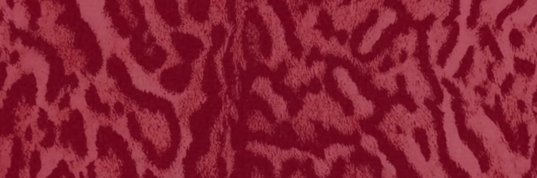 _gabibradley_'s profile banner image