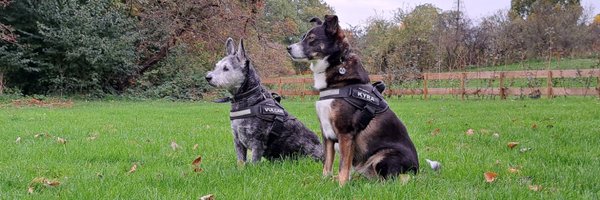 WGroenheide Profile Banner
