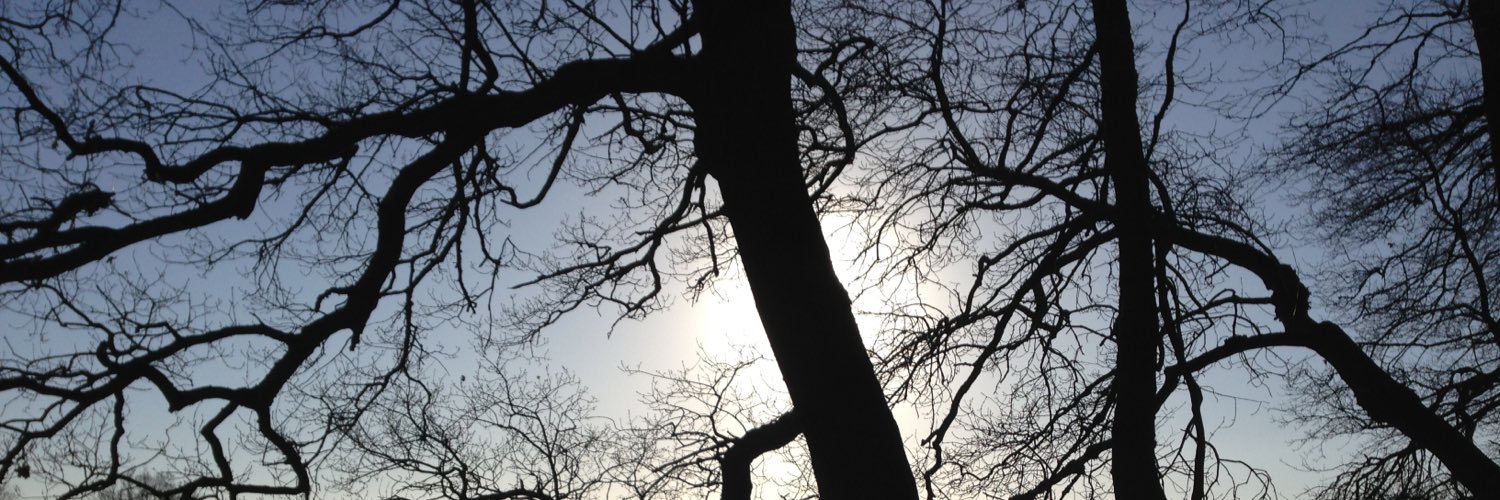 simranNMHIN's profile banner image
