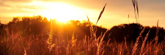 PrairieGirlK's profile banner image