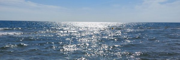 fraukeboeck Profile Banner