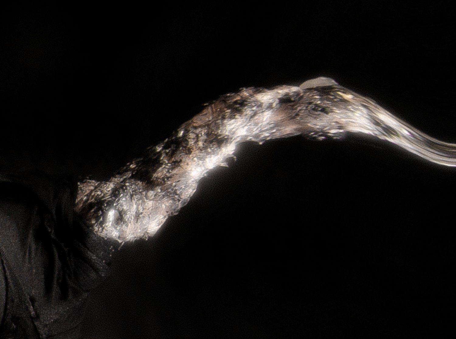 Cardopusher / Safety Trance banner