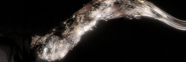 Cardopusher Profile Banner