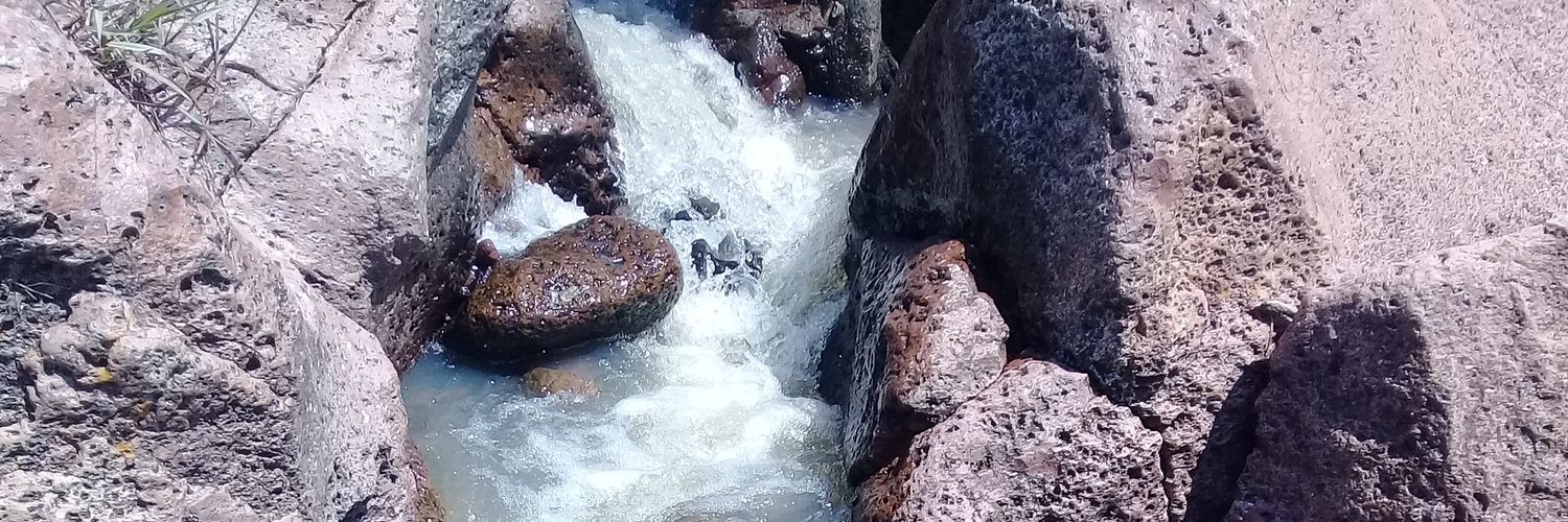 lupiss37's profile banner image