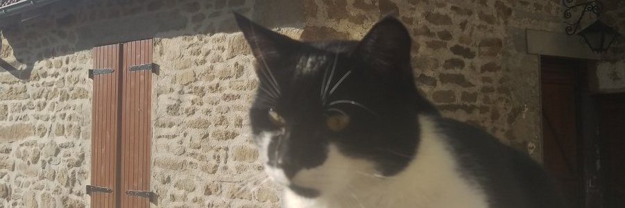 TimB - onehandedwriter banner