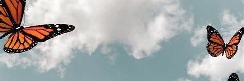 AgusCarrillo8's profile banner image
