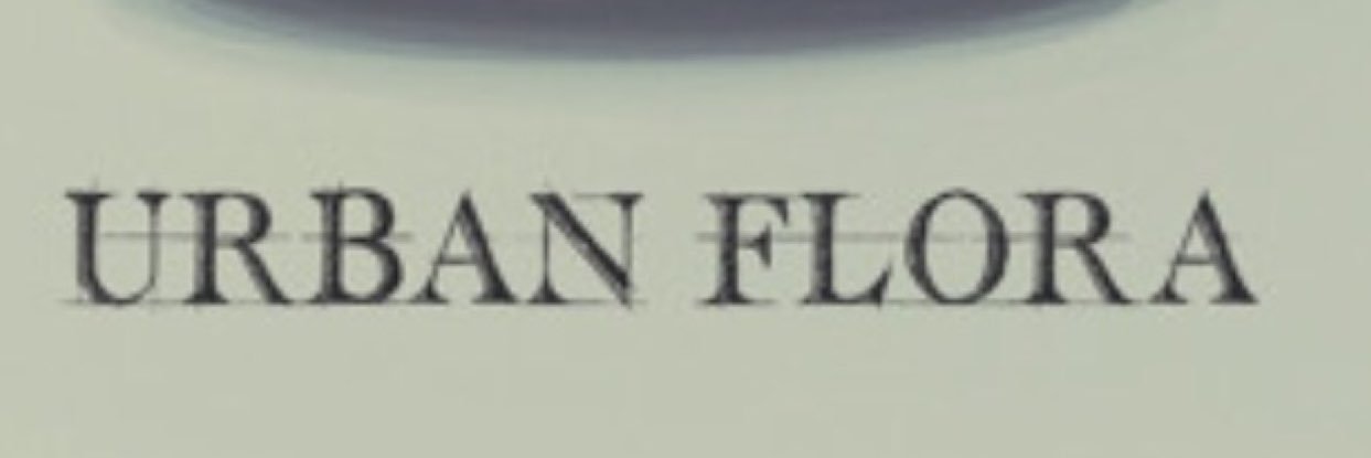 BasedBernard27's profile banner image