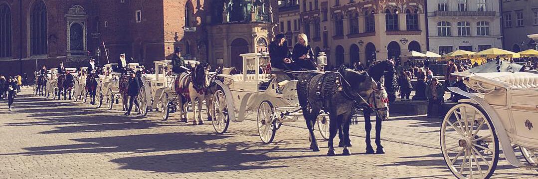 Timothy Goodfellow banner