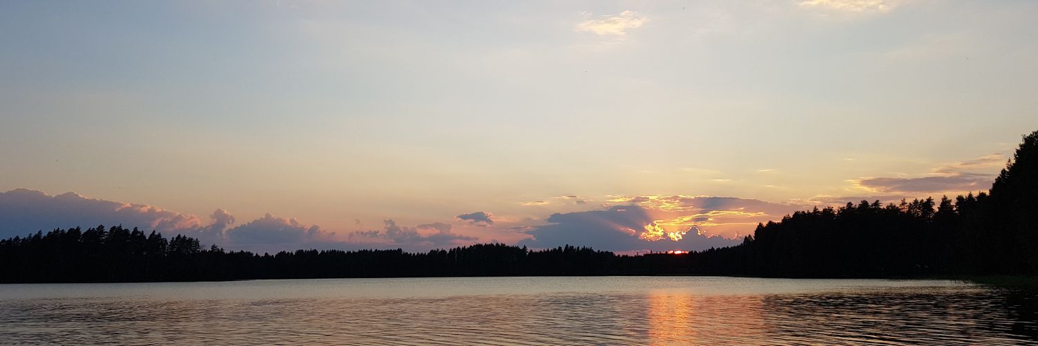 Karo Parkkonen banner