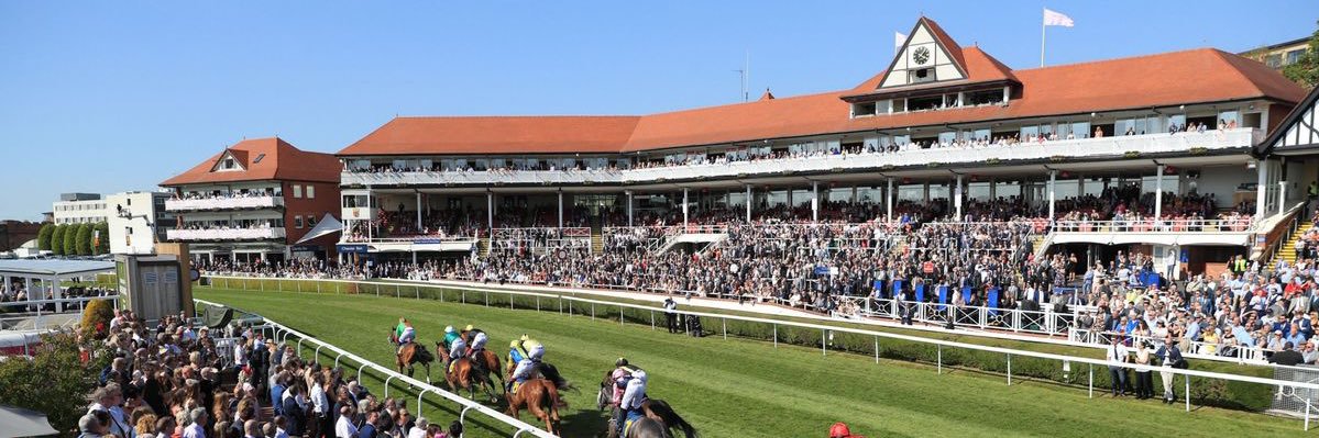 Louise Stewart banner