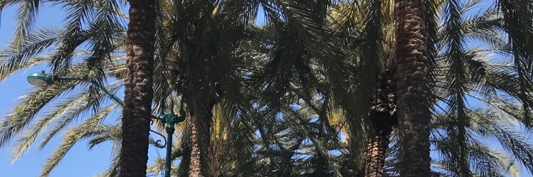 katelynjayne12's profile banner image