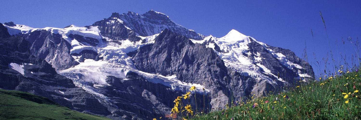 SMCSSEurope16's profile banner image