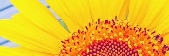 emili_3312's profile banner image