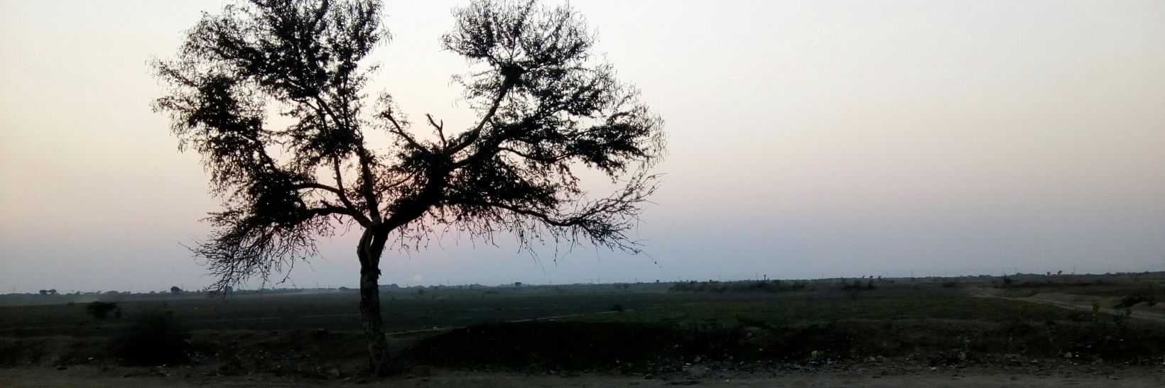 subhojit_g's profile banner image