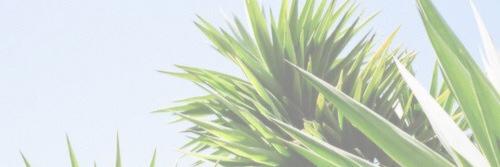 Honestlyhorann's profile banner image