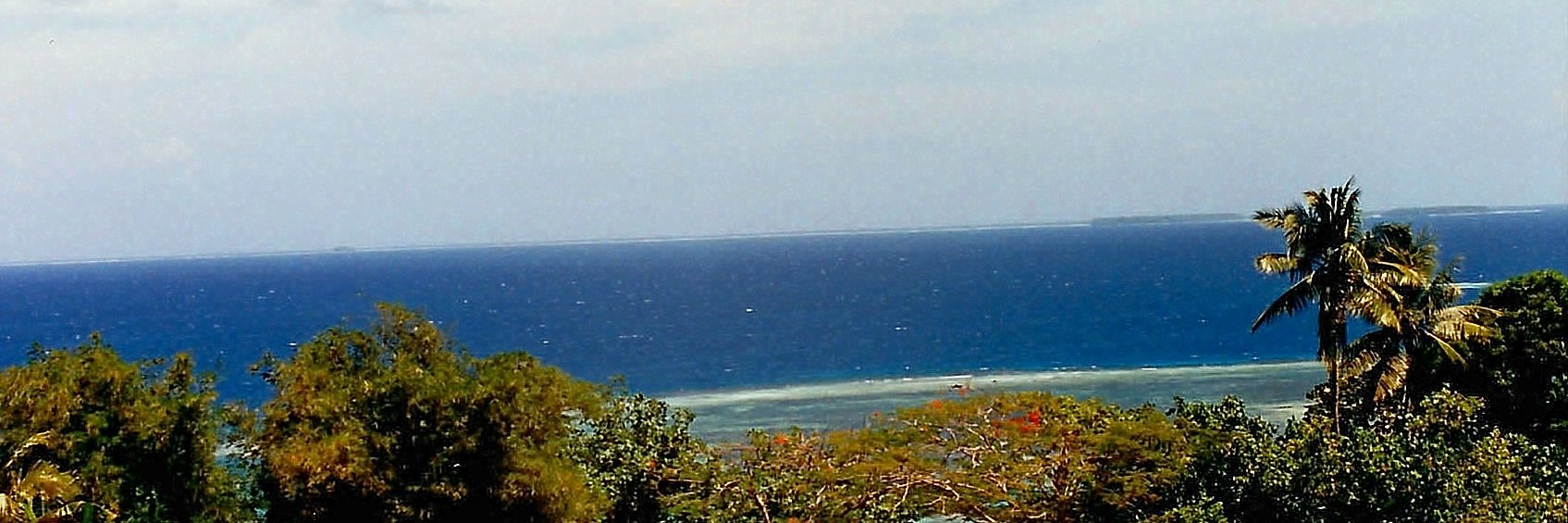 OB1too's profile banner image