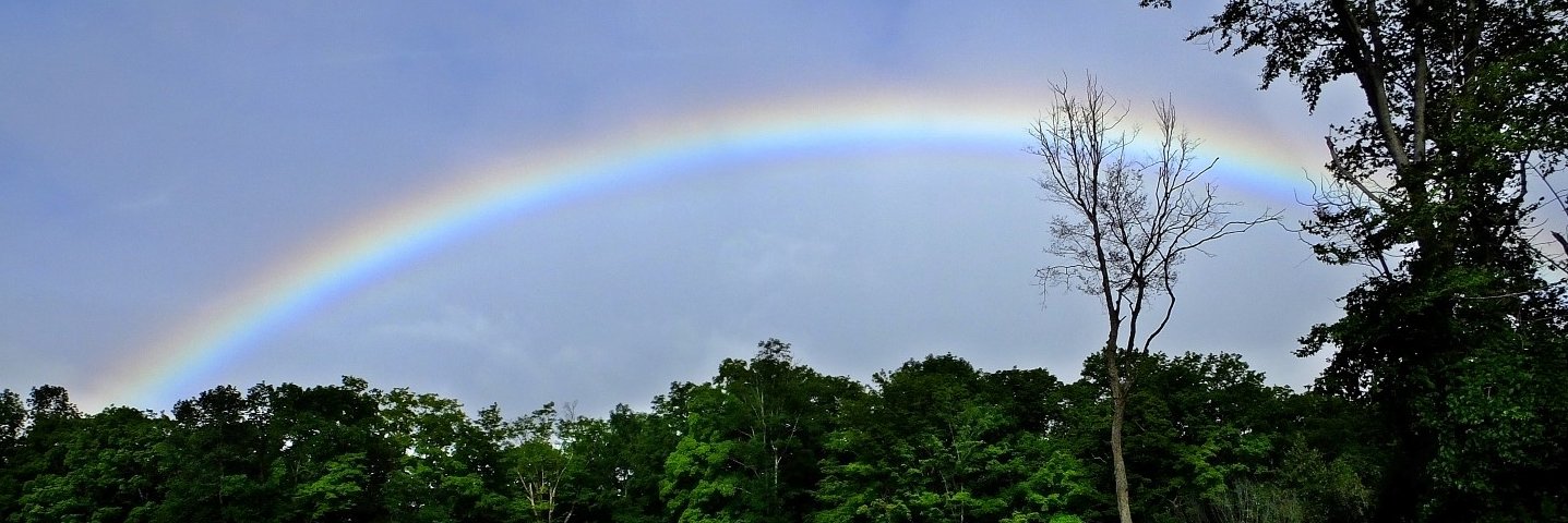 MarkWimages's profile banner image