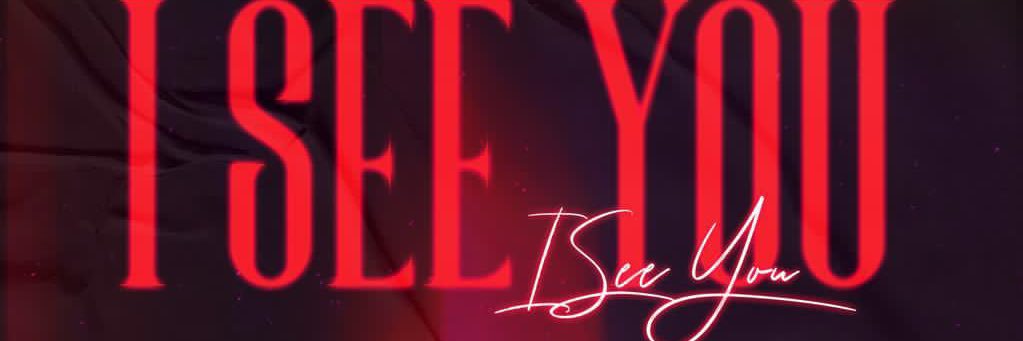 divelorie's profile banner image
