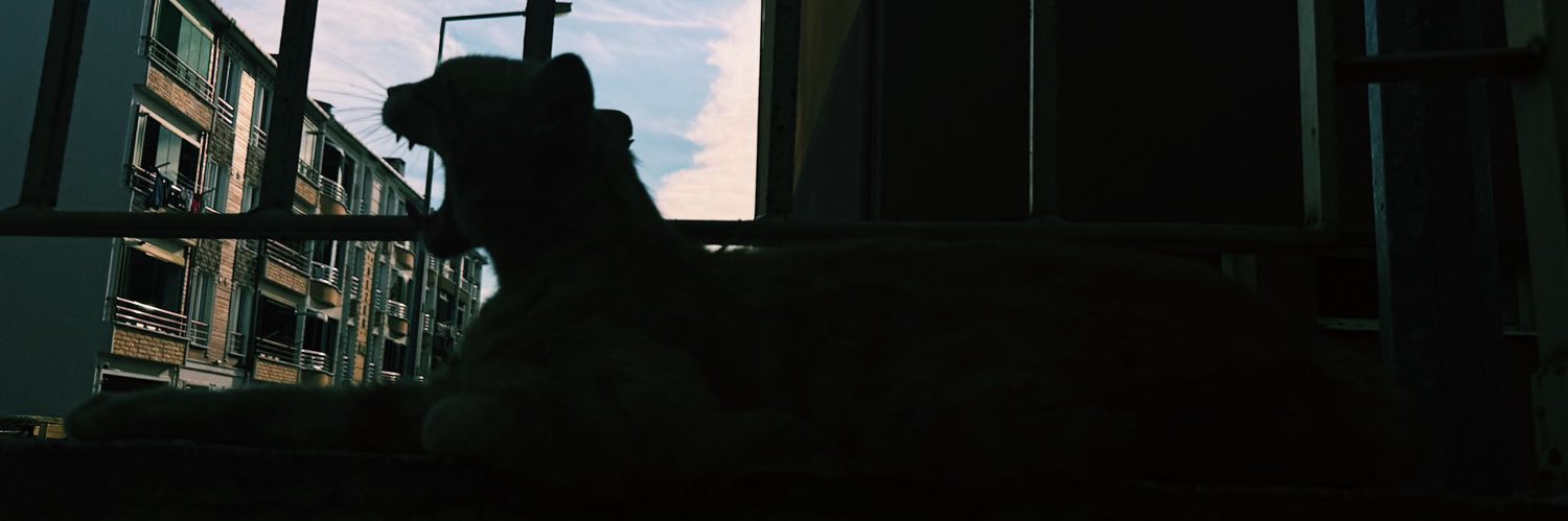 Caglabzkr's profile banner image
