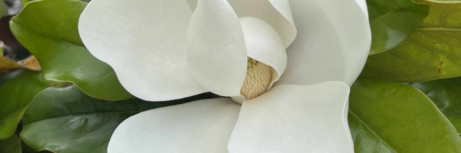 claudeuh's profile banner image