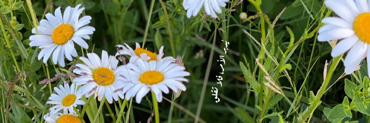 ﮼ع banner