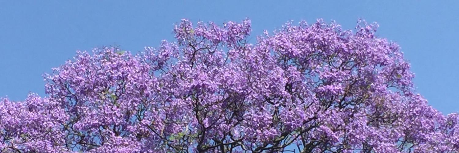 Kerryn_DeS's profile banner image