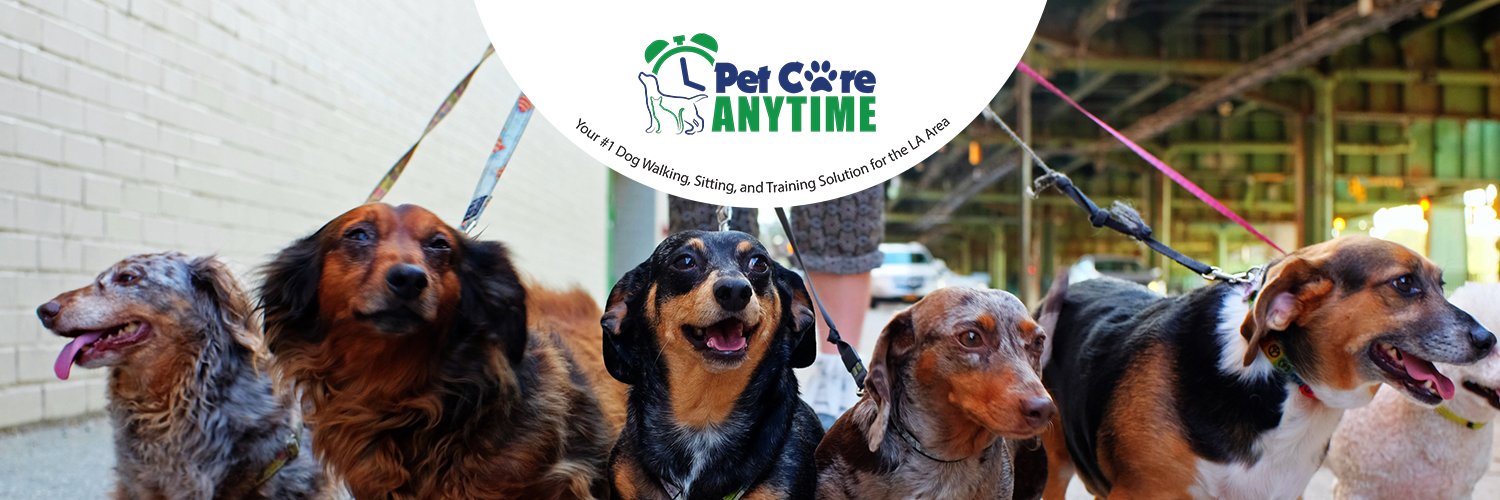 petcareanytime's profile banner image
