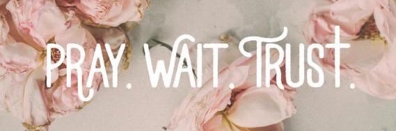 WellnessWithNic's profile banner image