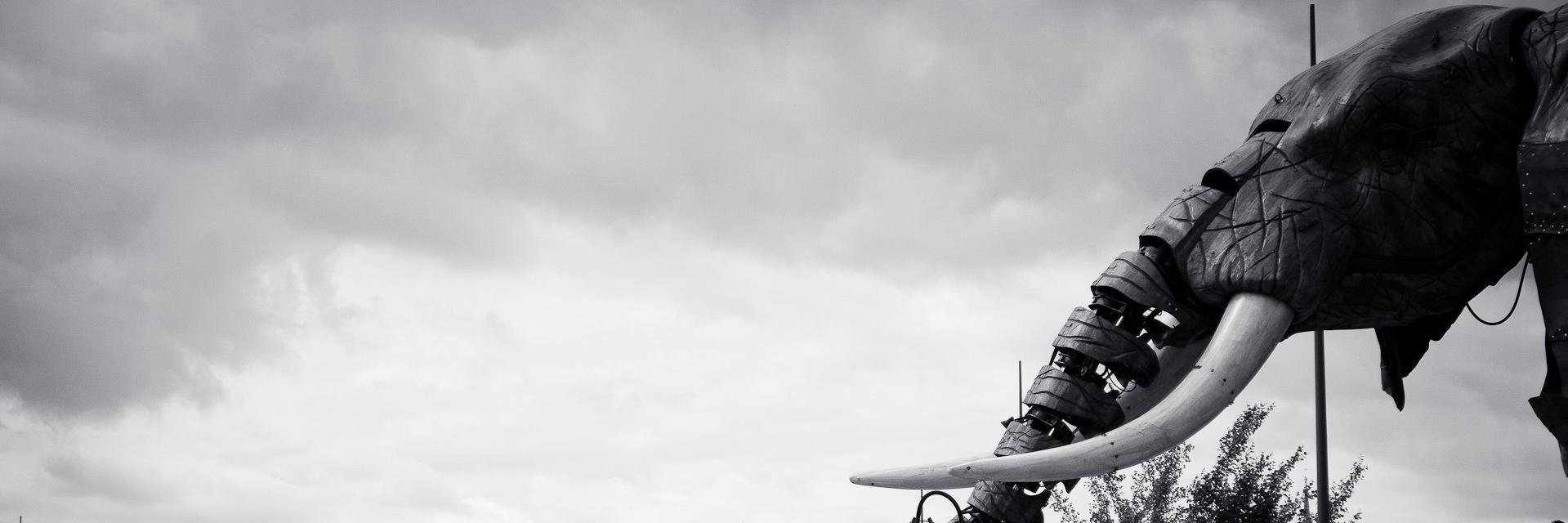 g4w3l's profile banner image