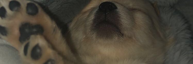 ssaladbarr's profile banner image