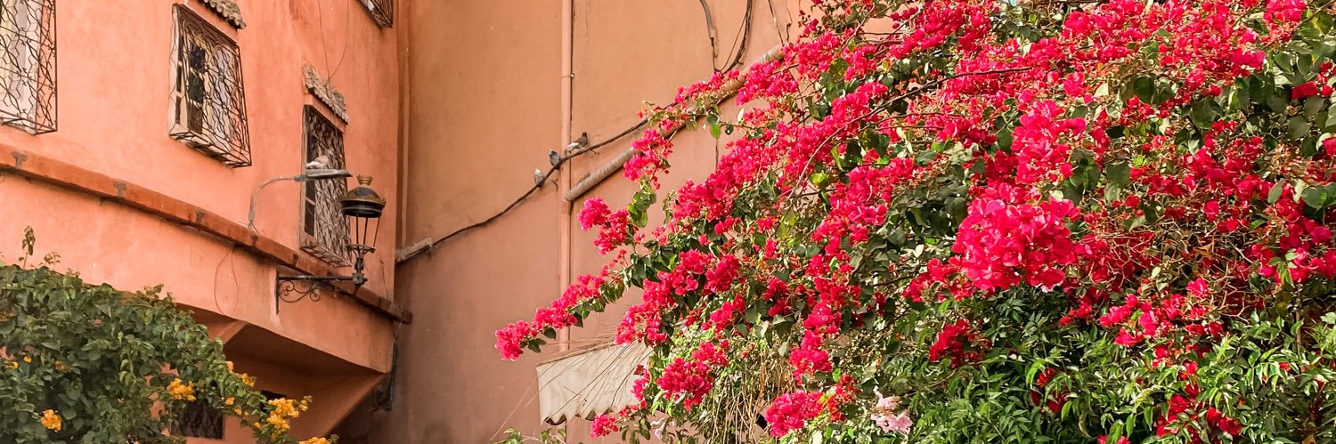 A2line . 🍉 banner