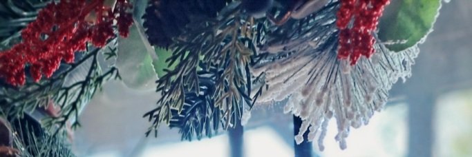 Kelsalty's profile banner image