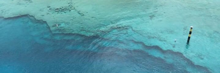 Shannon Oliver banner