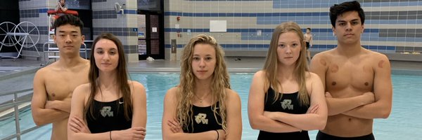 PviSwim Profile Banner