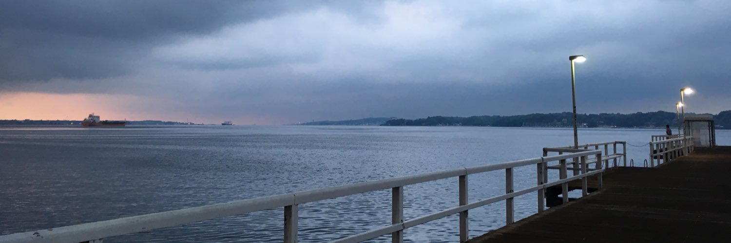 picobella_'s profile banner image