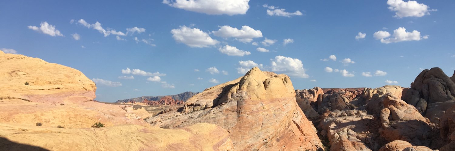 Diane Faith banner