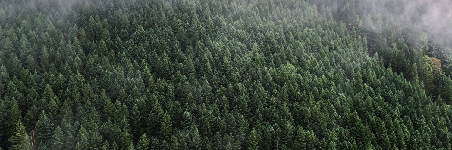 skylerpollak's profile banner image