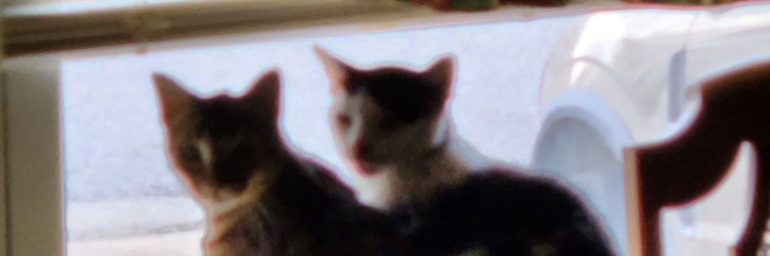 MickeyinVa's profile banner image