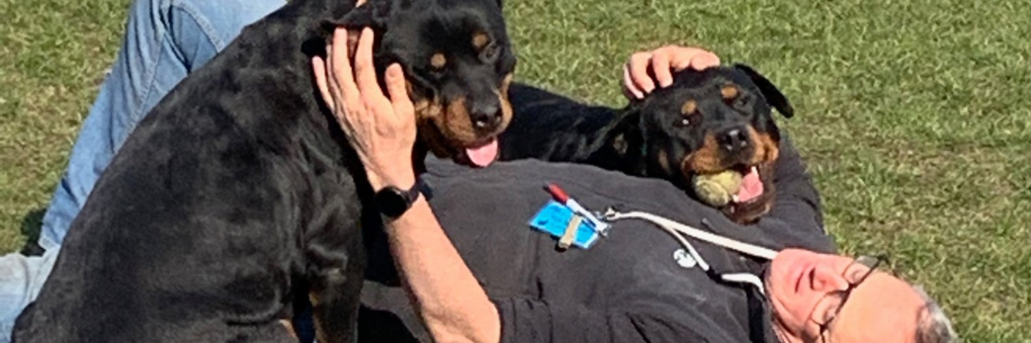 stappersjos's profile banner image