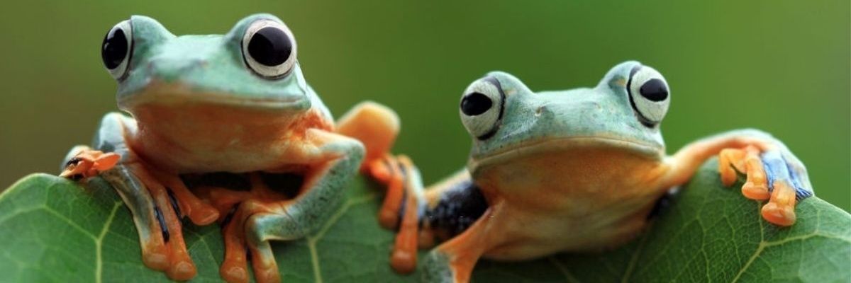 textbes's profile banner image