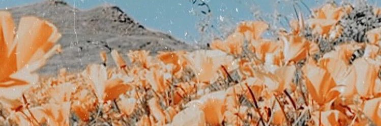 HeatherHall_17's profile banner image