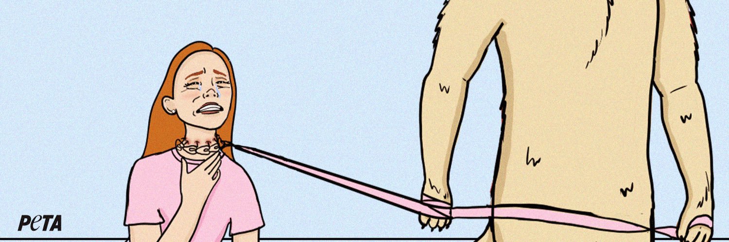 ch4rlovin's profile banner image