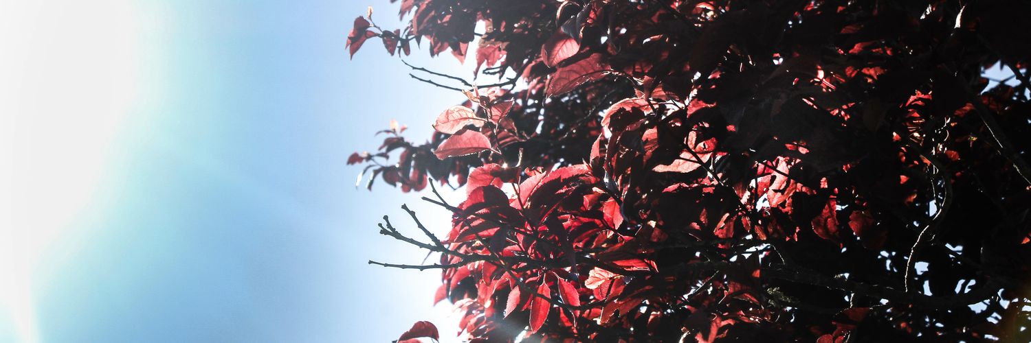 Mitch_Sanchez69's profile banner image