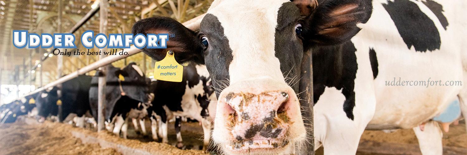 uddercomfort's profile banner image