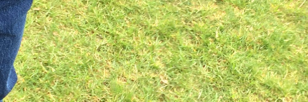 01jaydub's profile banner image