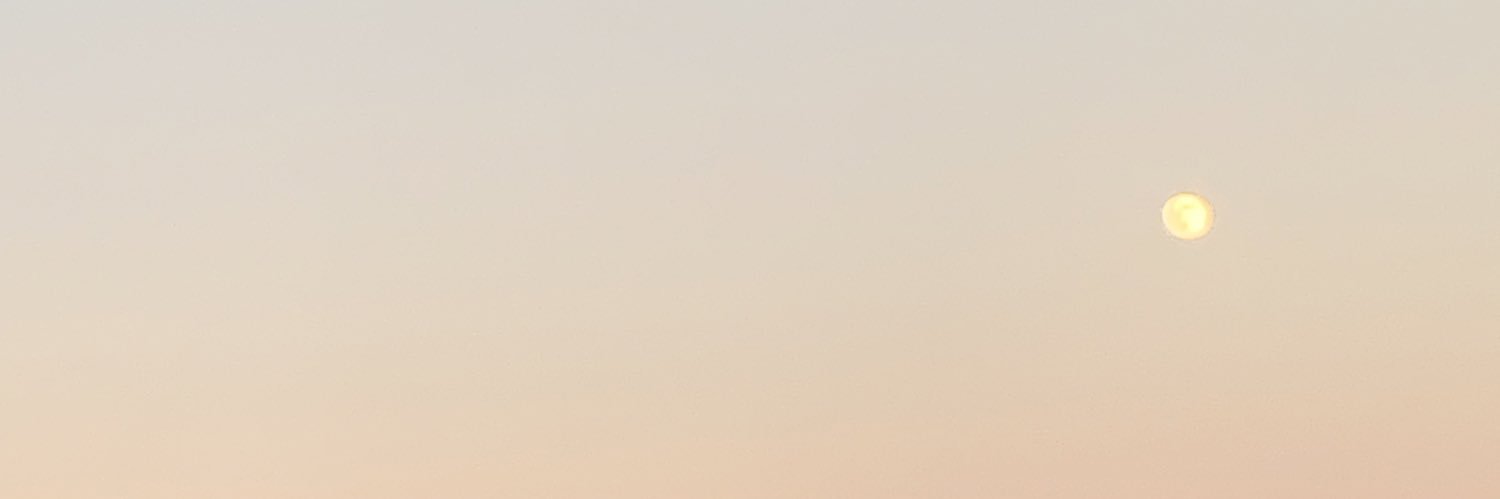 carmenFishh's profile banner image