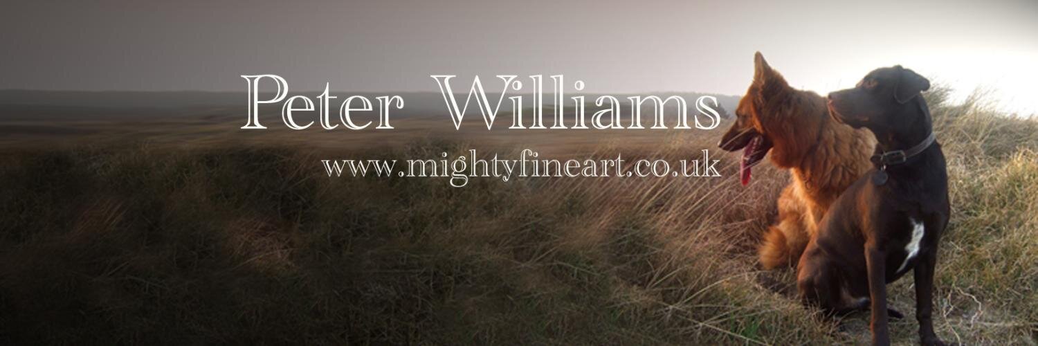 MightyFineArt's profile banner image