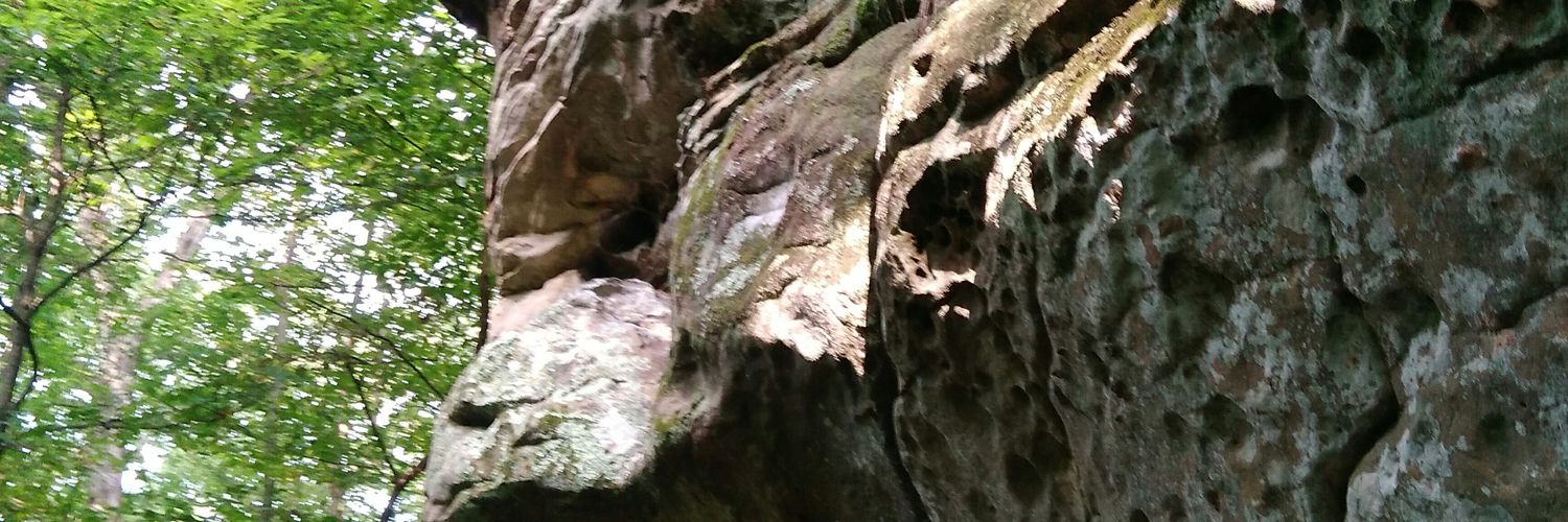 Karyopsis's profile banner image