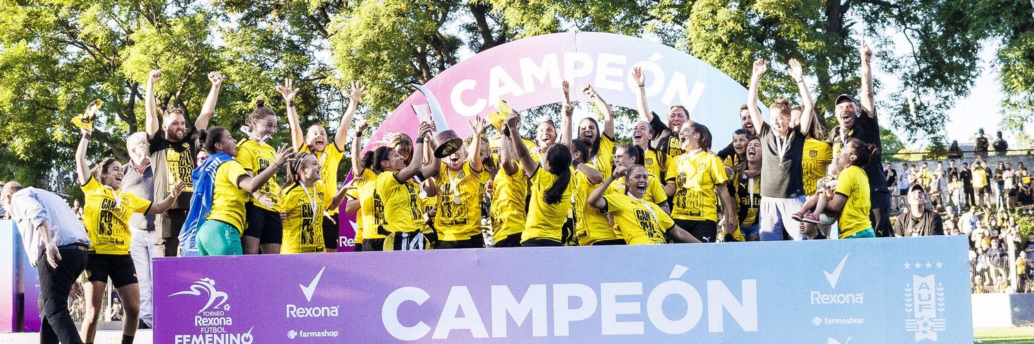 Diego Rodríguez banner